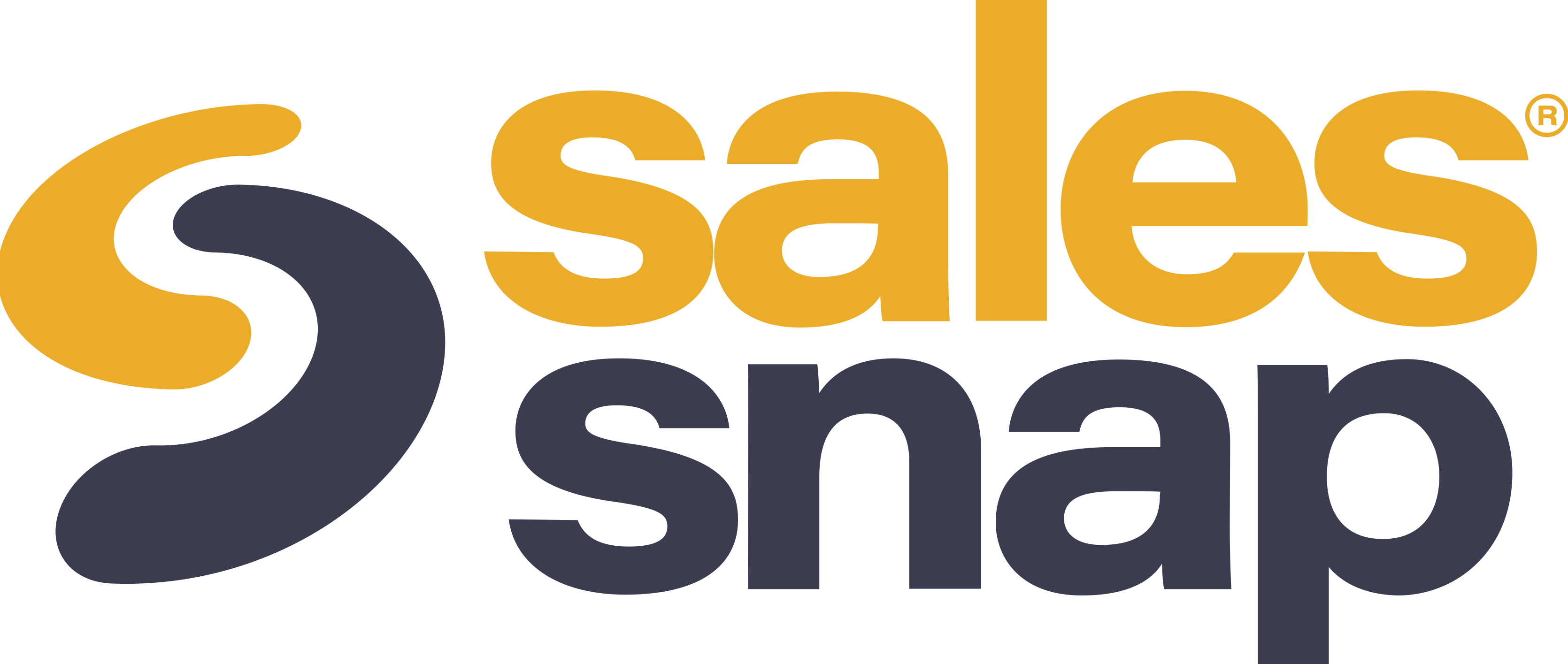 Sales snap logo